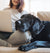 Poisonous Food to Dogs