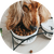 Dog Food