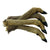 Trusty Pet Supplies Roe Deer Legs With Hair