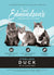 Edmondson’s Adult Cat Sterilised Duck
