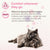 Beaphar CatComfort® Calming Spot-On Cat