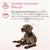 Beaphar CaniComfort® Calming Diffuser Refill for Dogs