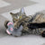 KONG Cat Snuzzles Mouse Cat Toys