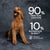 AATU Chicken Wet Dog Food Tins 6 x 400g