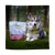 Eden Semi-Moist Dog Food - Salmon and Quail
