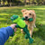 KONG Knots Frog Large/XL