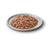 James Wellbeloved Senior Grain Free Chicken in Jelly Wet Cat Food