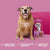 Barking Heads Golden Years Chicken All Hounder Dry Dog Food