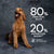 AATU Free Run Duck Dry Dog Food
