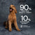 AATU Duck and Turkey Wet Dog Food Tins 6 x 400g