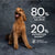 AATU Salmon Dry Dog Food