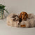 Scruffs Alpine Box Bed - Champagne - X-Large