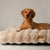Scruffs Alpine Mattress - Champagne - Large