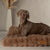 Scruffs Alpine Mattress - Taupe - Large