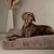 Scruffs Oxford Orthopaedic Mattress - Silver - Large