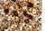 Johnston & Jeff Low Sunflower for African Greys