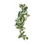 Komodo Borneo Hanging Vine
