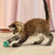 KONG Active Tennis Balls With Bells Cat Toy