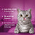 WHISKAS® DENTABITES with Chicken Adult Cat Dental Treats 40g