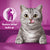 WHISKAS® DENTABITES with Chicken Adult Cat Dental Treats 40g