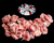 The Dogs Butcher Raw Dog Food - Chicken Gizzard 1kg