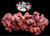 The Dogs Butcher Raw Dog Food - Chicken Liver 500g
