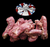 The Dogs Butcher Raw Dog Food - Chicken Necks 1kg