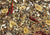 Johnston & Jeff Conure Mix