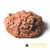 Kiezebrink Raw Food - Minced Day Old Chicks 1kg