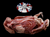 The Dogs Butcher Raw Dog Food - Duck Carcass
