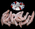 The Dogs Butcher Raw Dog Food - Duck Feet 1kg