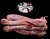 The Dogs Butcher Raw Dog Food - Duck Necks x 7