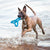 KONG Flyangle Blue Large