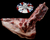 The Dogs Butcher Raw Dog Food - Goat Ribs, Neck & Spine 1kg