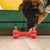 KONG Holiday Ziggies Enhanced Spice Dog Treats