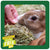 Burgess Excel Nature Snacks Herby Hearts Small Animal Treats 60g