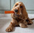 Brothies Bone Broth Grain Free Dog Treat Chew