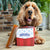 Brothies Bone Broth Grain Free Dog Treat Chew