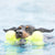 KONG Airdog® Squeaker Bone