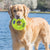 KONG AirDog® Squeaker Donut