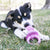 KONG Puppy Binkie™