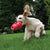 KONG Bounzer™ Dog Toy