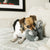 KONG Comfort Kiddos Elephant Dog Toy