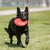 KONG Classic Flyer Frisbee Dog Toy