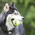 KONG SqueakAir® Tennis Balls