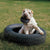 KONG Extreme Tyres Dog Toy