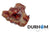 DAF Raw Dog Food - Beef Knuckle Bone 1pc