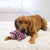 KONG Low Stuff Stripes Donkey Medium