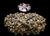 The Dogs Butcher Raw Dog Food - 1kg Lamb Tripe Mince Boneless