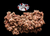 The Dogs Butcher Raw Dog Food - Lamb Tripe with Duck 80-10-10 1kg